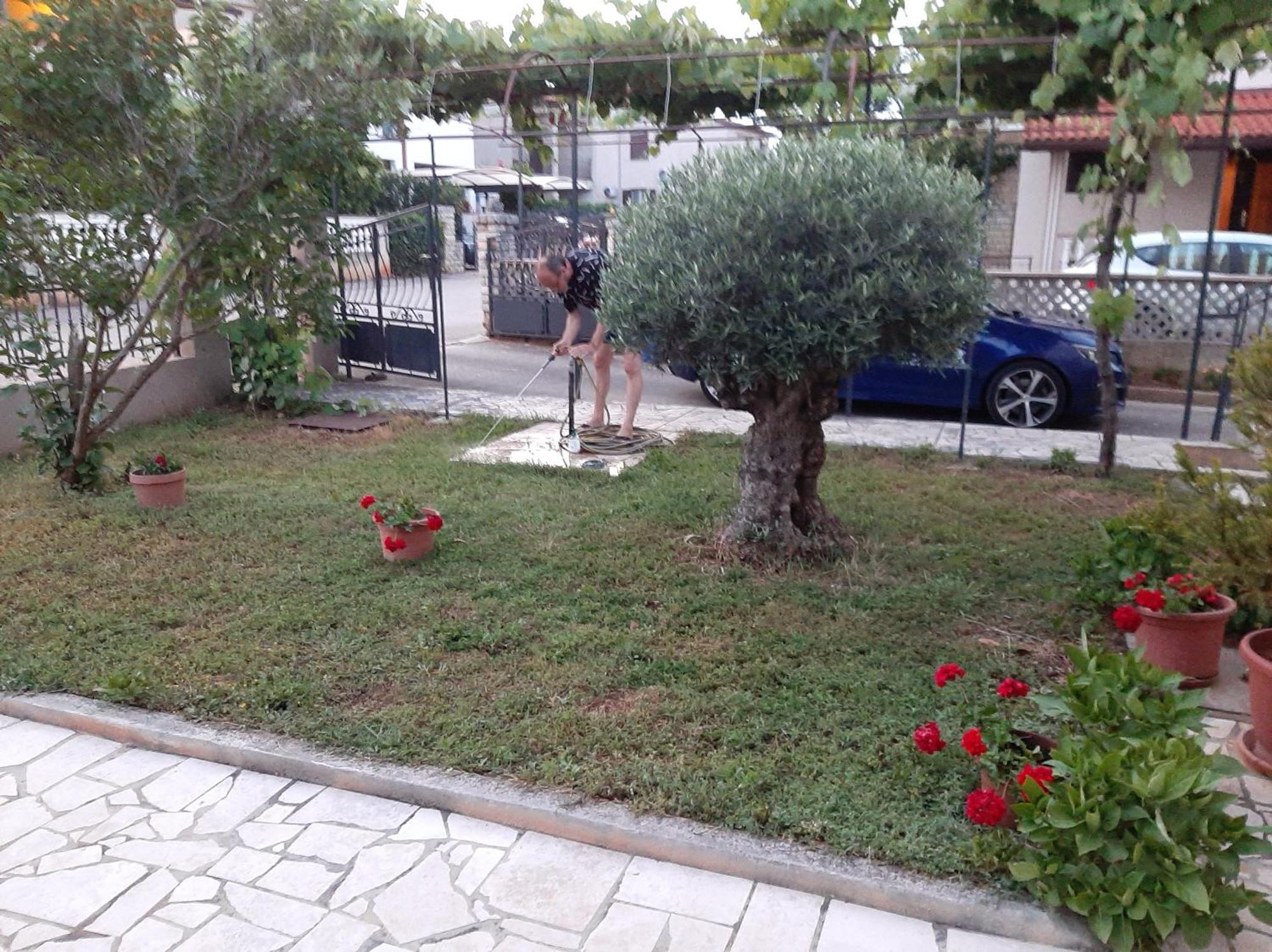 Apartment Stefania Rovinj Ruang foto